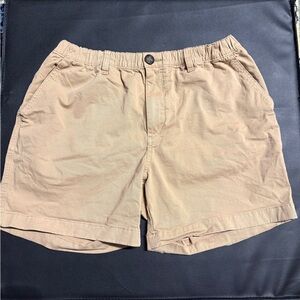 Chubbies Men's Tan Casual Shorts
